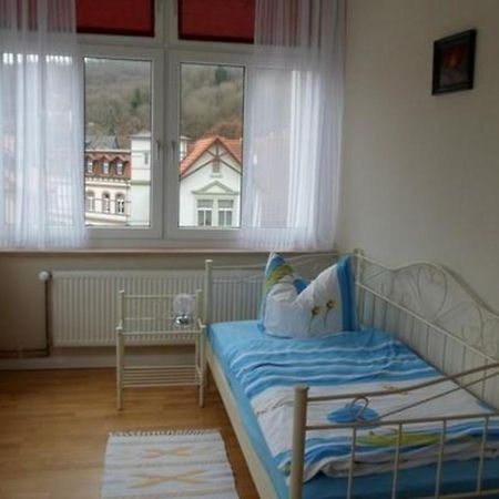 Wohnung In Blankenburg Harz Mit Grill, Garten Und Terrasse Esterno foto